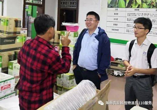 荔枝控梢促花技術培訓在海口東昌服務站舉辦